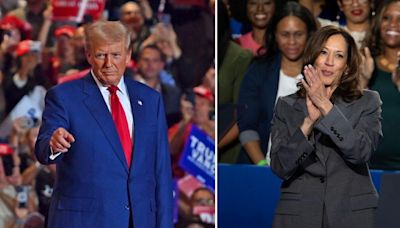 'So Much Projection': Donald Trump Dissed for Claiming Rival Kamala Harris Was Born 'Mentally Impaired' at Wisconsin Rally