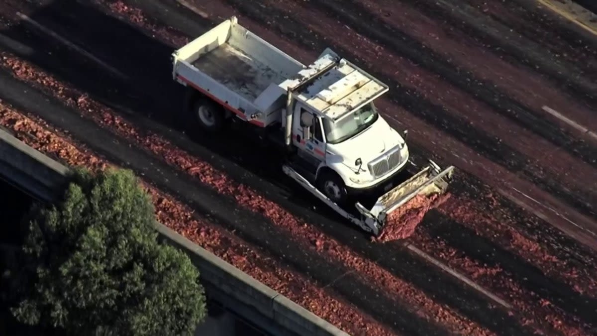 Chicken and beef parts spill on I-880 in Oakland
