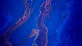 Oil Spill Pours Into the Gulf of Mexico