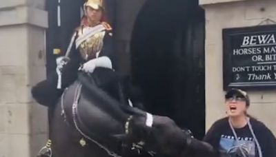 UK King’s Guard Horse Bites Tourist Posing For Photo Causing Her To Faint, Days After Biting Indian Traveller - News18