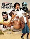 Return of Black Monkey