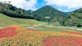 河濱公園賞花走春趣 環騎台北認證抽好禮