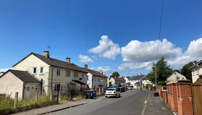 Street in fear as toddler and boy, 9, attacked by Akita on a rampage