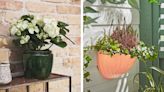 7 perfect planters to brighten up your garden - including a must-have £5 B&M pot