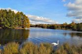 Riverside Park, Guildford