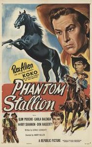 Phantom Stallion