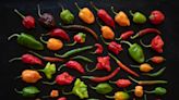 15 Types Of Peppers And When To Use Them