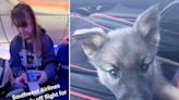 Passenger removed from flight after petting her own puppy