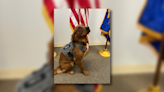 Airway Heights Police Department welcomes new K9 member | FOX 28 Spokane