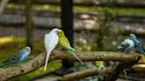 Popular exhibit returns to Bergen County Zoo after being closed for months