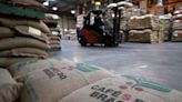 Cecafé: Brasil exporta 32,7% mais café na safra 2023/24, com total de 47,3 milhões de sacas Por Estadão Conteúdo