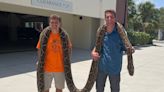 A Florida python hunter just caught a 19-foot Burmese python, the longest ever recorded. Check out the pictures of the slithering beast.