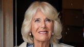 Queen Camilla's bold leopard print patterned dress is the perfect autumn staple