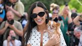 Demi Moore’s Tiny Pup Pilaf Steals the Show at ‘The Substance’ Photo Call at Cannes 2024!