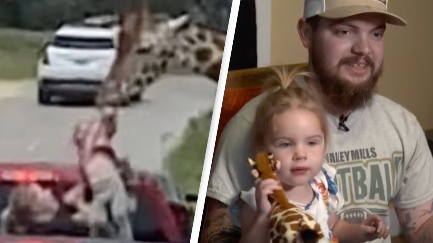 Mom desperately clings to toddler as giraffe snatches her from truck at drive-thru safari