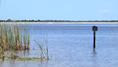 County officials are releasing water from Lake Manatee after Hurricane Debby. Here’s why