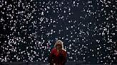 Fans drop everything, meet Taylor Swift in pouring rain at Hamburg Eras Tour show
