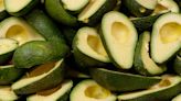 Avocado prices to remain low in the years ahead