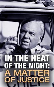 In the Heat of the Night: A Matter of Justice