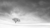 I get inspired by the charm of minimalistic landscape photography