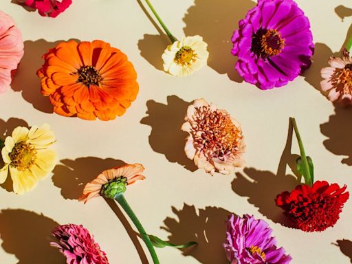 The Hidden Meanings Behind All 24 Birth Flowers