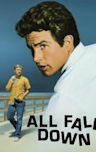 All Fall Down (1962 film)