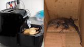 'New Fear Unlocked': Amazon Customer Orders Air Fryer Online, Finds Huge Lizard Inside Parcel; Company Responds