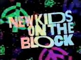 New Kids on the Block (TV series)