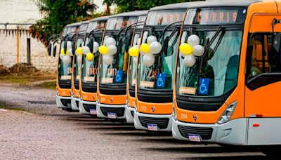 Carris obtém verba pelo Novo PAC e anuncia compra de mais 10 ônibus | GZH