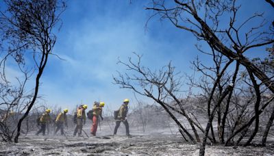 Wildfires in Southern California torch dozens of homes and force thousands to evacuate