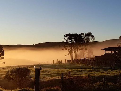 Campos de Cima da Serra têm geada e mínima de 3,3ºC, menor temperatura do RS nesta sexta-feira | Pioneiro