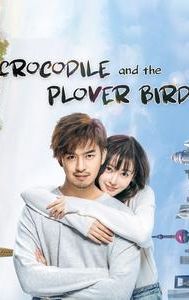 Crocodile and the Plover Bird