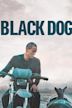 Black Dog (2024 film)