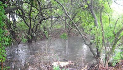 Prefeitura vai investigar possível extravasamento do dique da Fiergs no sábado em Porto Alegre