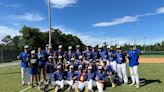 York wins first state baseball title since 1989