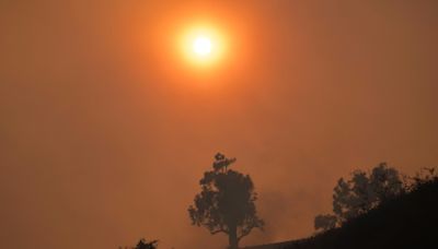 Studie: Zehntausende Tote durch Luftverschmutzung infolge von Waldbränden in Kalifornien