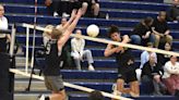 Best of the Best: 2024 Daily Herald All-Valley Boys Volleyball Team