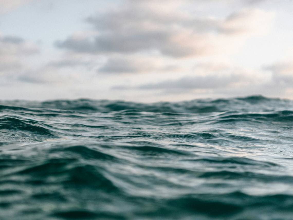 Huge sea creature — the world’s largest — stuns California onlookers in early sighting