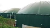 'Boost for green energy': Govt enhances financial aid for biomass pellet manufacturing - ET EnergyWorld