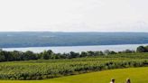 The 24 Best Wineries and Vineyards Near NYC That Are Well Worth the Trip