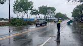 清晨狂風暴雨如颱風天 高雄路牌.路樹倒