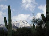 Tucson Mountains