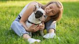 Your DOG can get seasonal allergies too - here are the signs to watch