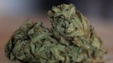 Cannabis ETFs Soar On Reports DEA Plans To Reclassify Marijuana