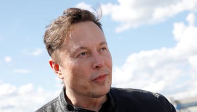 Who are Elon Musk's 11 children?