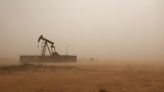 US oil output from top shale regions to rise in May, EIA says