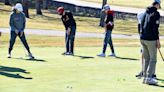 Wahp golf improves at Detroit Lakes meet