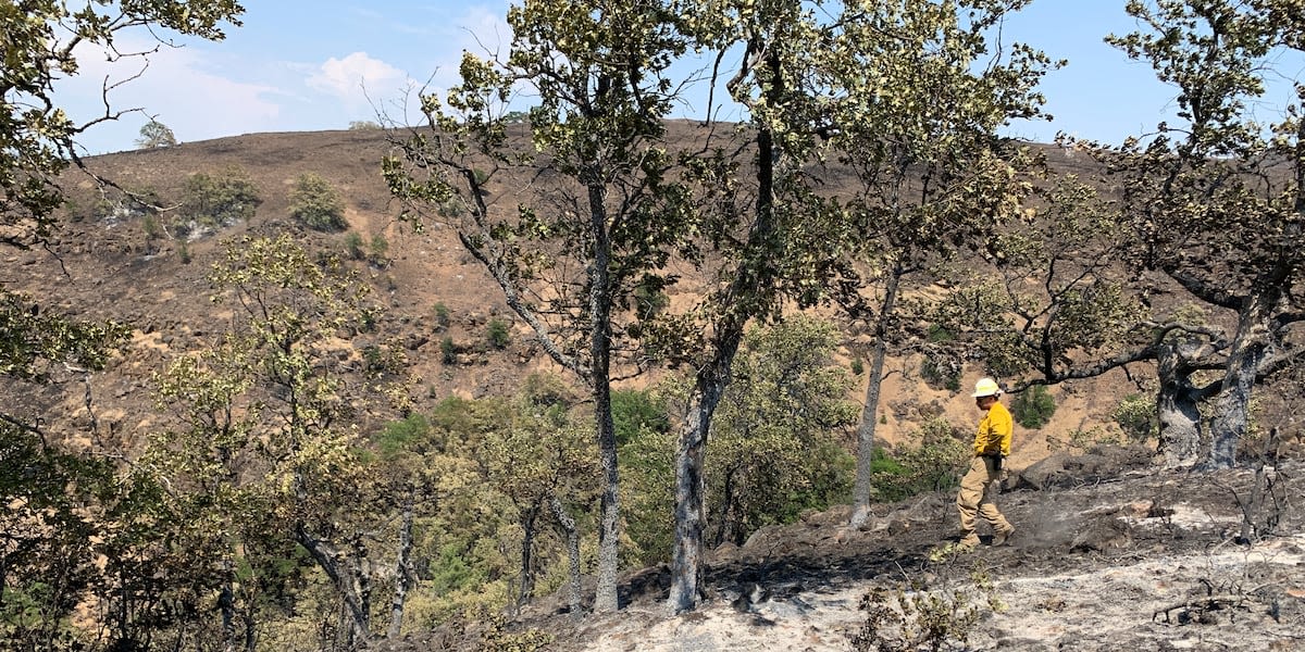 Crews making progress on Larch Creek, Lone Rock wildfires