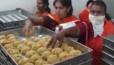 14 lakh laddus sold in 4 days: Why devotees continue to buy Tirupati laddus amid animal fat row