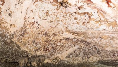 World’s oldest painting unveiled – can you tell what it is?